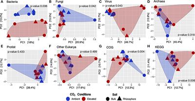 Soil metatranscriptome demonstrates a shift in C, N, and S metabolisms of a grassland ecosystem in response to elevated atmospheric CO2